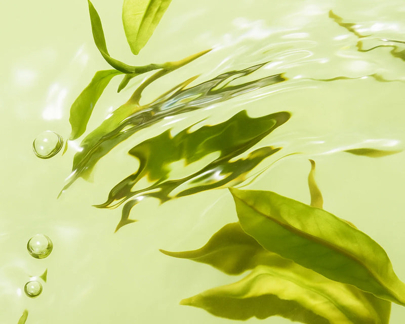 Green Tea