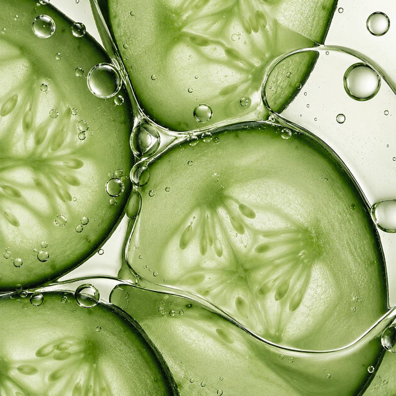 Cucumber Extract
